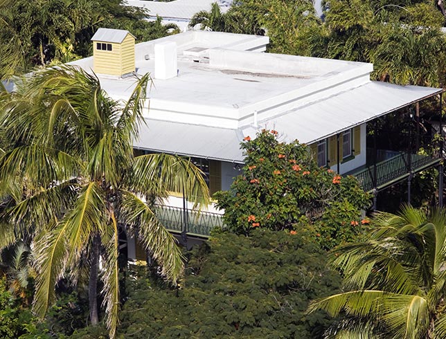 Key West Ernest Hemingway House Tours Museum And Bookstore